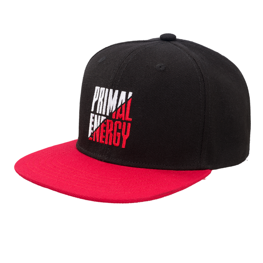 Defqon.1 Primal Energy snapback