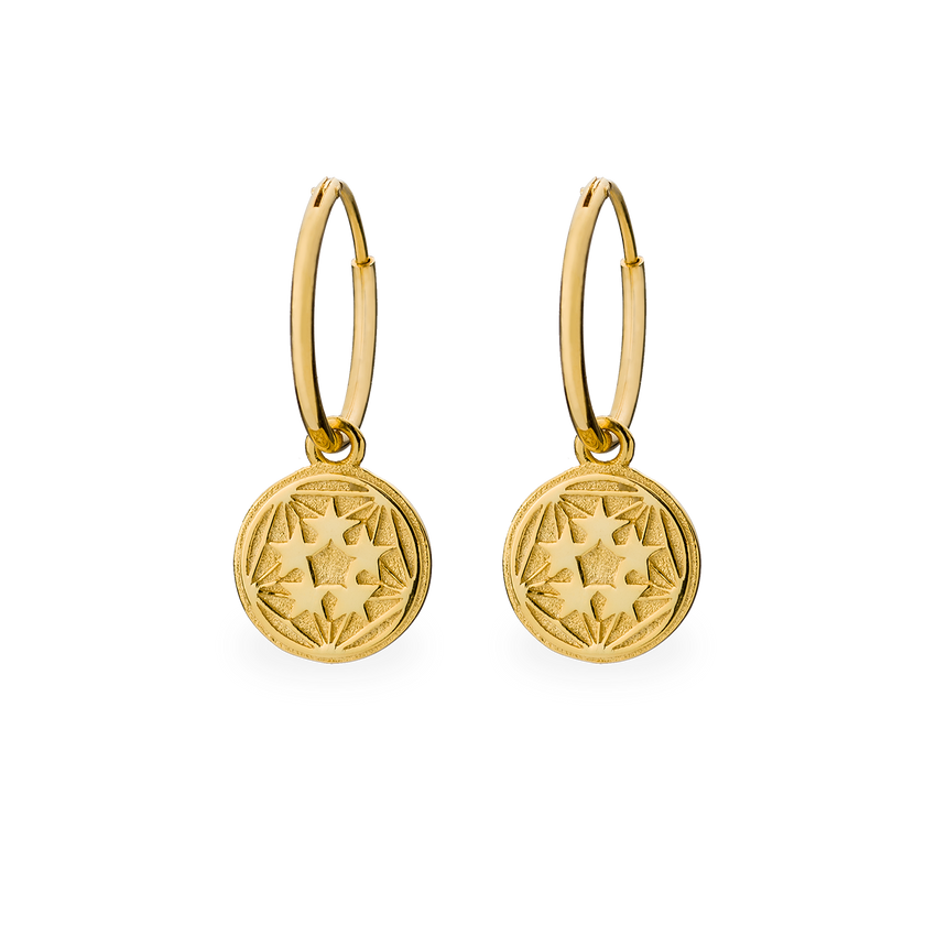 Qlimax Gold earrings